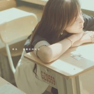wordsmith9.0注册码